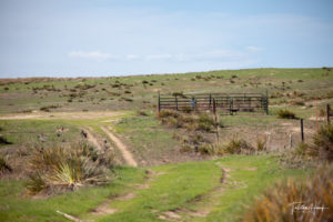 CO-KS-NE Tristate marker