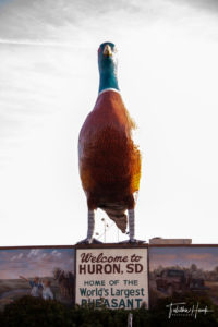 World's Largest Pheasant Huron, SD