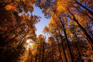 Great Smoky Mountains National Park