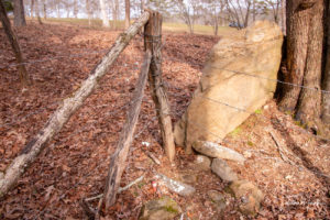 Georgia, North Carolina and Tennessee Tristate Marker 2